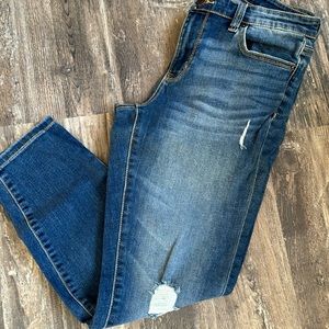 Crop Stretch Denim